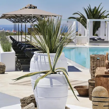 Livin Mykonos - Adults Only By Mr And Mrs White Hotel