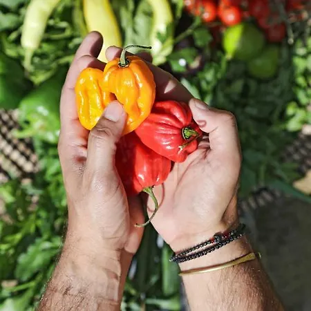 מלון Livin Mykonos - Adults Only