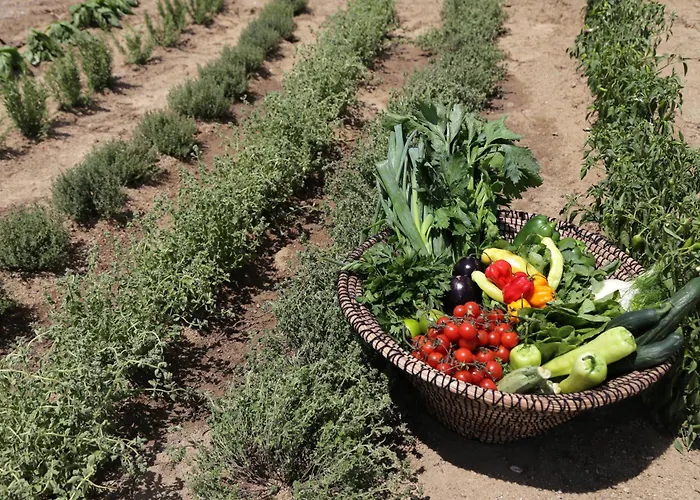 Livin Mykonos - Adults Only Hotell